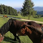 Pohorje House Rogla 2