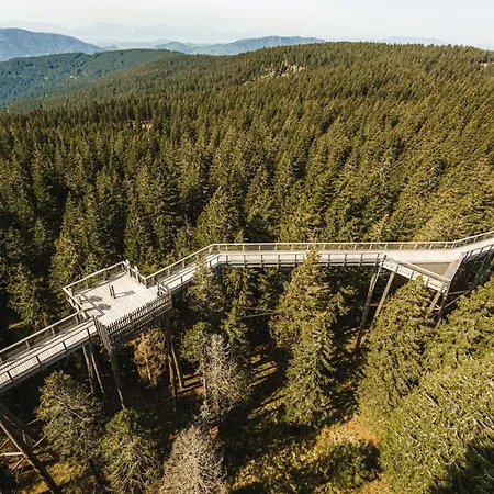 Pohorje House Rogla 2 *