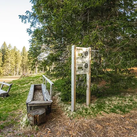 Apartma Pohorje House Rogla 2 *