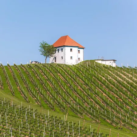 Pohorje House Rogla 2 * Oplotnica