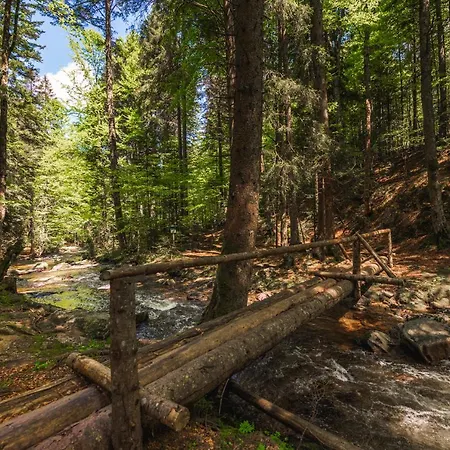 Pohorje House Rogla 2 Oplotnica