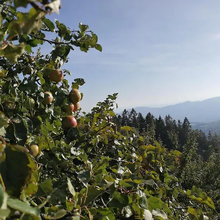 Pohorje House Rogla 2 Oplotnica