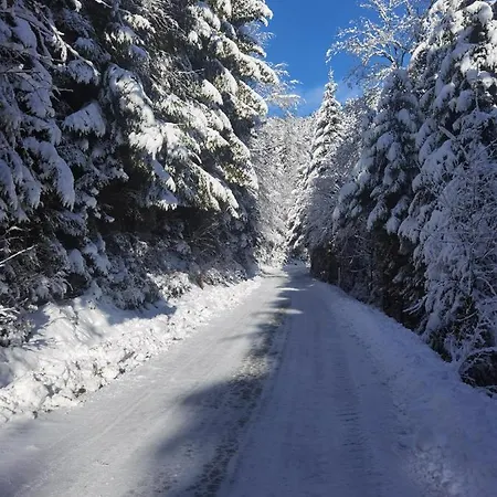 Pohorje House Rogla 2 Oplotnica