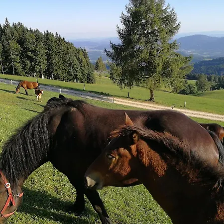 Pohorje House Rogla 2