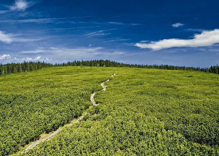 Pohorje House Rogla 2 Appartement