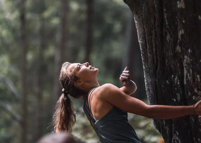 Pohorje House Rogla 2 Appartement Oplotnica