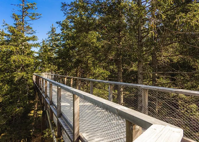 Pohorje House Rogla 2 *