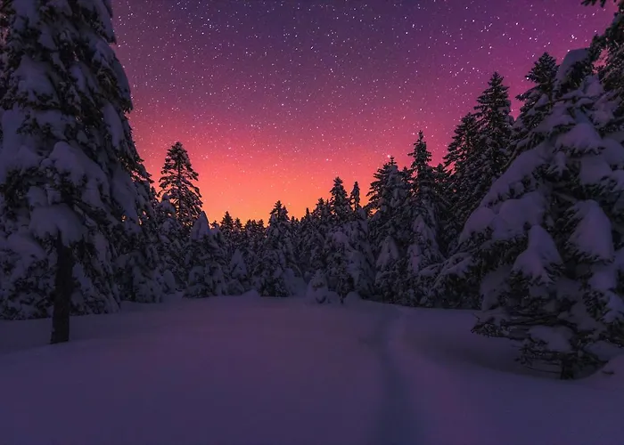 Pohorje House Rogla 2 *