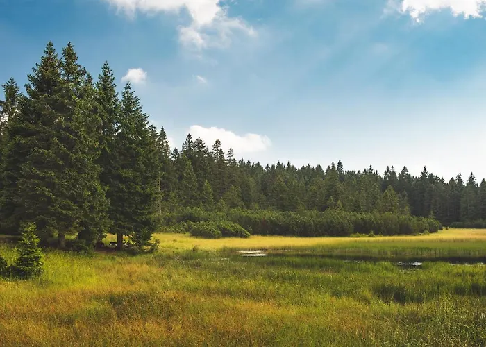 Pohorje House Rogla 2 Appartement *