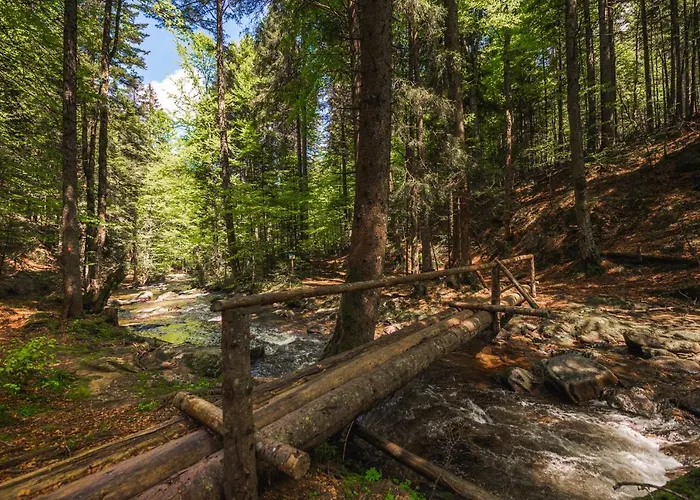 Pohorje House Rogla 2 Oplotnica