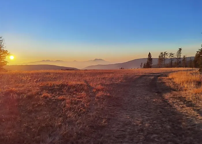 Pohorje House Rogla 2 *