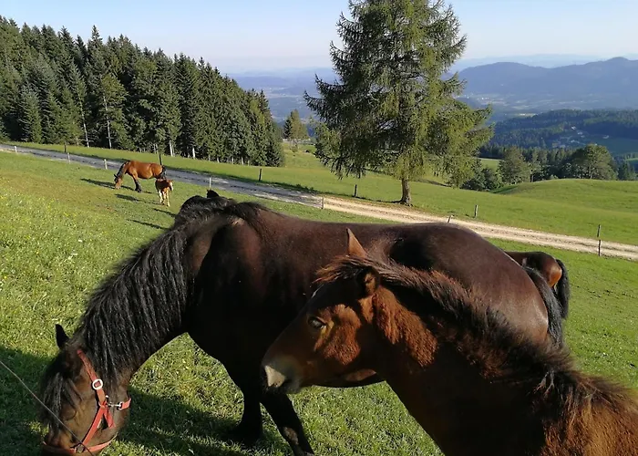 Pohorje House Rogla 2