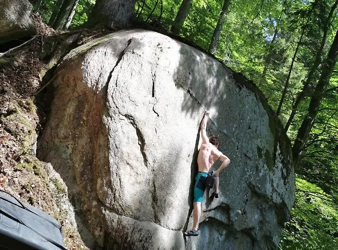 Pohorje House Rogla 2 Oplotnica