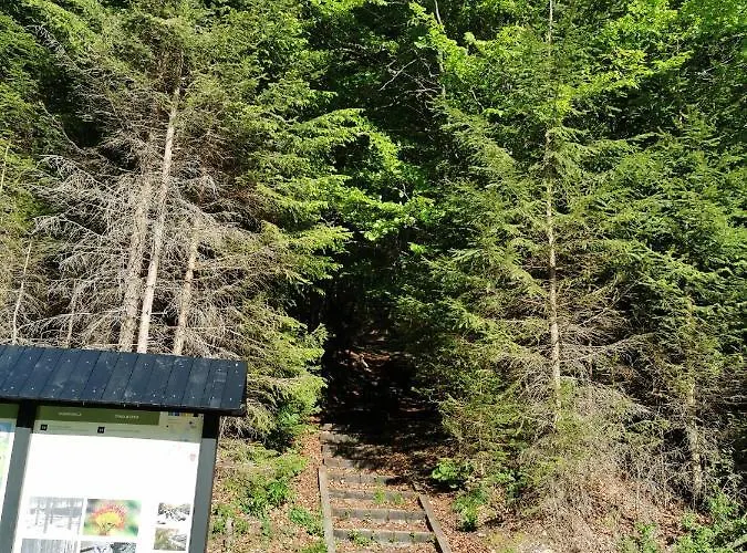 Pohorje House Rogla 2 Appartement